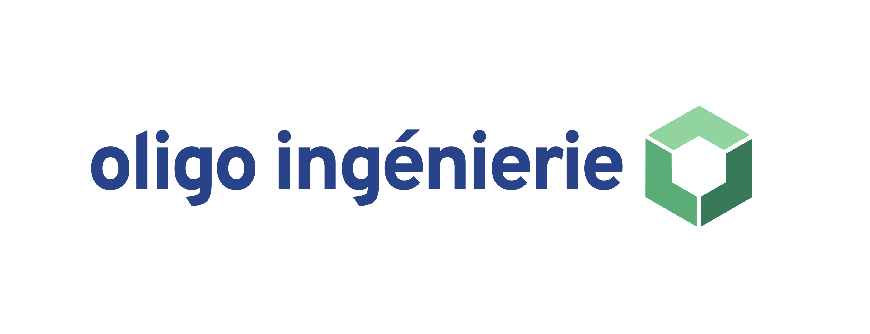 oligo ingénierie